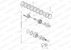 Clutch Assembly