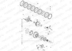 Clutch Assembly