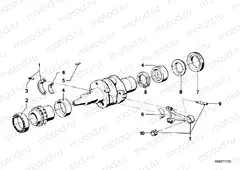 Connecting rod / Connecting rod bearing