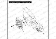 CONTROL MODULE - FUEL INJECTED