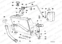 Cooling system - water hoses