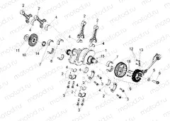 Cranckshaft
