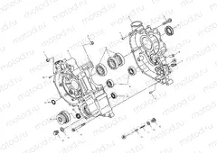 CRANKCASE - A00CH50AK (4954805480D008) | CRANKCASE - A00CH50AK (4954805480D008)