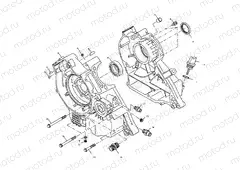 CRANKCASE - A01AA32AA (4963816381C009) | CRANKCASE - A01AA32AA (4963816381C009)