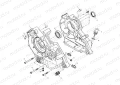 CRANKCASE - A01CB32AA (4963966396C012) | CRANKCASE - A01CB32AA (4963966396C012)