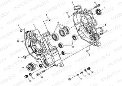 CRANKCASE - A99CH50AC (4952455245d006) | CRANKCASE - A99CH50AC (4952455245d006)