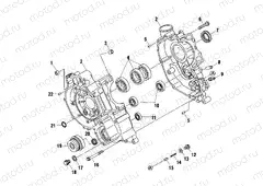 CRANKCASE - A99RF50AA (4946494649D009) | CRANKCASE - A99RF50AA (4946494649D009)