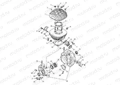 CRANKCASE and CYLINDER (300) XPRESS 300 W969530 (4935923592D004) | CRANKCASE and CYLINDER (300) XPRESS 300 W969530 (4935923592D004)