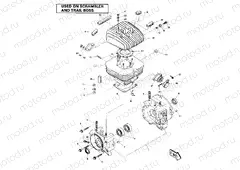 Crankcase and Cylinder Assembly (4911991199042A) | Crankcase and Cylinder Assembly (4911991199042A)