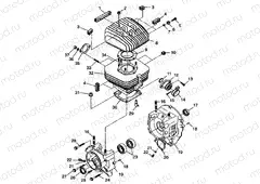CRANKCASE and CYLINDER Trail Blazer W98BA25C (4945464546C007) | CRANKCASE and CYLINDER Trail Blazer W98BA25C (4945464546C007)