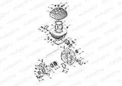 CRANKCASE and CYLINDER XPLORER 300 W98CC28C (4945264526C013) | CRANKCASE and CYLINDER XPLORER 300 W98CC28C (4945264526C013)