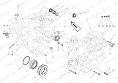 CRANKCASE BEARINGS » ENGINE CASE