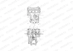 Crankcase Bolts