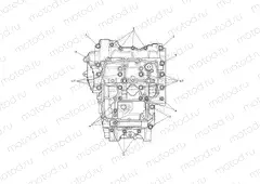 Crankcase Bolts