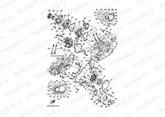 CRANKCASE COVER 1