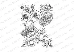Crankcase cover 1