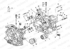 CRANKCASE » ENGINE CASE