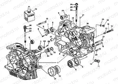 CRANKCASE » ENGINE CASE