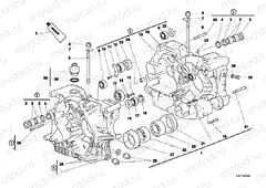 CRANKCASE » ENGINE CASE