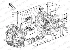 CRANKCASE » ENGINE CASE
