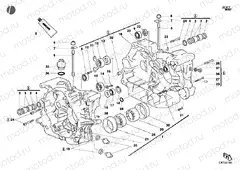 CRANKCASE » ENGINE CASE