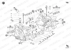 CRANKCASE » ENGINE CASE