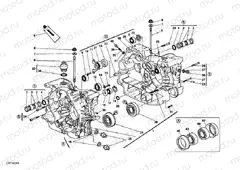 CRANKCASE » ENGINE CASE