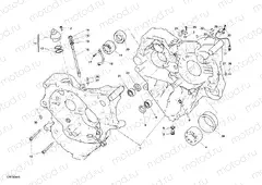 CRANKCASE » ENGINE CASE