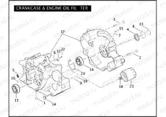 CRANKCASE & ENGINE OIL FILTER