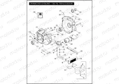 CRANKCASE & ENGINE - OIL FILTER & COOLER