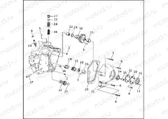CRANKCASE - GEAR SIDE