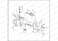 CRANKCASE - GEAR SIDE