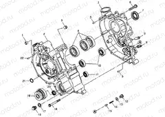 CRANKCASE - W98AE50A (4946394639d011) | CRANKCASE - W98AE50A (4946394639d011)