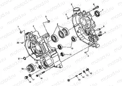 CRANKCASE - W98CH50A(C)(D)(E)(F) (4950135013d009) | CRANKCASE - W98CH50A(C)(D)(E)(F) (4950135013d009)