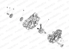 Crankshaft