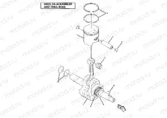 Crankshaft and Piston Assembly (4910981098044A) | Crankshaft and Piston Assembly (4910981098044A)