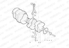 Crankshaft Assembly
