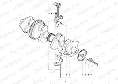 Crankshaft Assembly