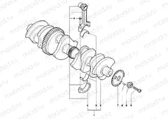 Crankshaft Assembly