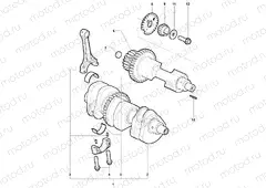 Crankshaft Assembly