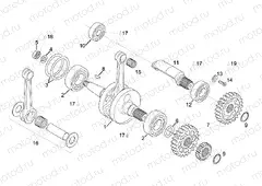 Crankshaft - Balance shaft