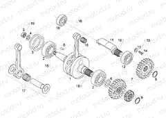 Crankshaft - Balance shaft
