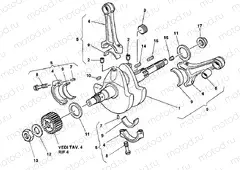 CRANKSHAFT » ENGINE CASE