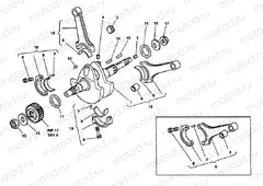 CRANKSHAFT » ENGINE CASE