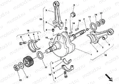 CRANKSHAFT » ENGINE CASE