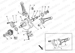 CRANKSHAFT » ENGINE CASE
