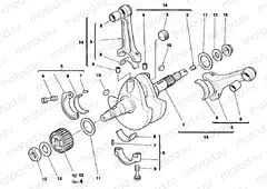 CRANKSHAFT » ENGINE CASE