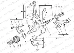 CRANKSHAFT » ENGINE CASE