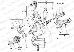 CRANKSHAFT » ENGINE CASE