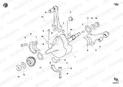 CRANKSHAFT » ENGINE CASE